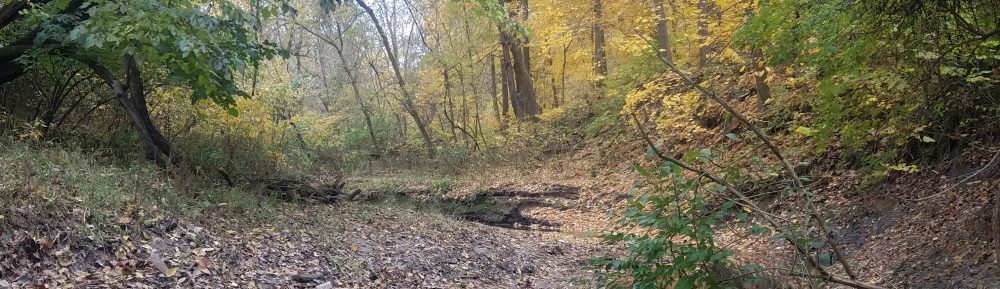 susanbostwickceramics